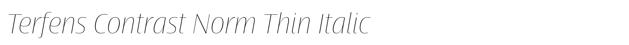 Terfens Contrast Norm Thin Italic image
